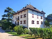 222  Castel Ringberg Winery.jpg